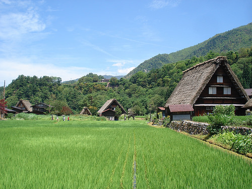 白川郷は夏も良い！雪の冬もイイけど夏の季節も見逃せない！