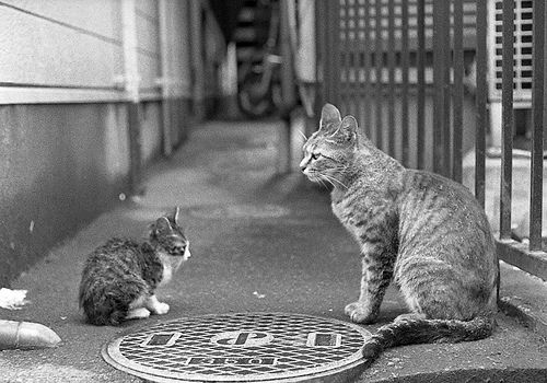 「お尻ペンペンお仕置き」海外との違いとは。なぜ子供の尻を叩くのか？しつけとして必要？