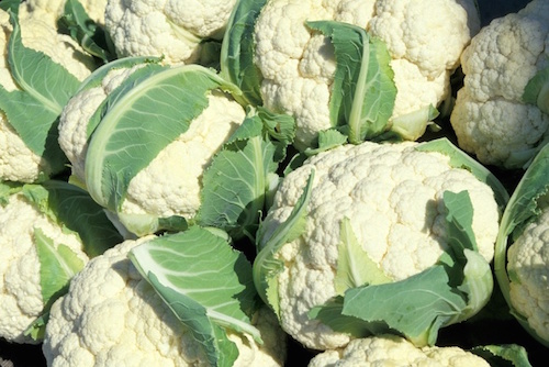 cauliflower