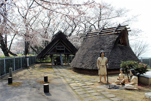 縄文時代と弥生時代の違いは？住居と土器でどう違う？