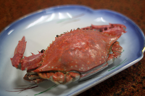 ワタリガニの旬な時期と美味しい食べ方。味噌汁もおすすめ