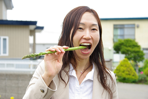 アスパラガス 冷凍保存の法則と鮮度落とさない為のひと工夫