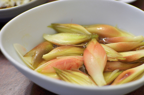 みょうがの栄養と効能スゴイ!?食べ過ぎで物忘れは本当？収穫の旬とおいしい食べ方